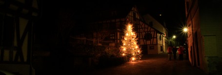 Bacharach-Steeg - Weihnachtsbaum an der Hipp