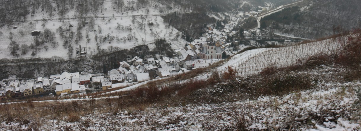 Bacharach - winterliches Steeg - in den Weinbergen