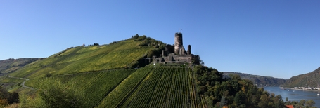 Oberdiebach - Burg Fürstenberg